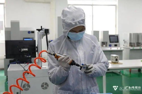 科技種子在南寧開花結果，網絡技術創新激發經濟新活力